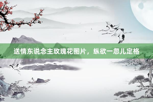 送情东说念主玫瑰花图片，纵欲一忽儿定格
